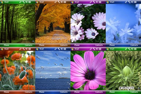 ppc-theme-views.jpg