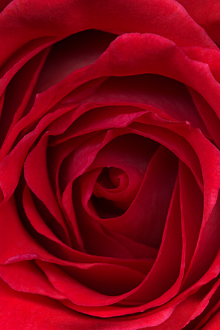 /iphone-3gs-wallpaper-07. iphone 3gs wallpaper. /iphone-3gs-wallpaper-07.